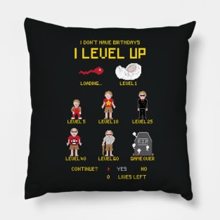 We Level Up Pillow