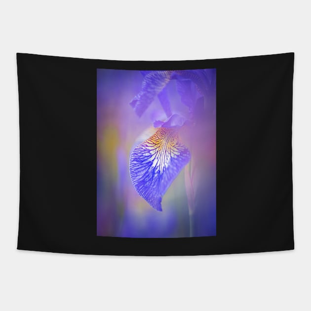 Iris flowers Tapestry by TonyNorth