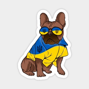 Ukraine Pet Awareness Support Ukrainian Flag Sunglasses Dog Puppy Pug Animals Magnet