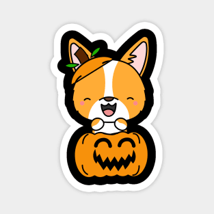 Funny corgi is in a pumpkin Magnet