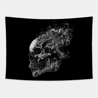 skull in fire Tapestry