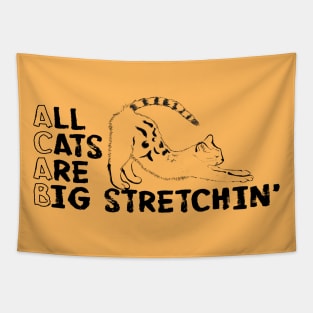 All Cats Are Big Stretchin' Tapestry