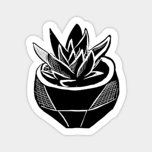 Black and White Succulent Image Magnet