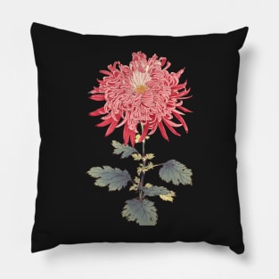 Pink Chrysanthemum 3 - Hasegawa - Traditional Japanese style - Botanical Illustration Pillow