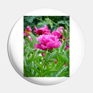 Pink Peony Pin