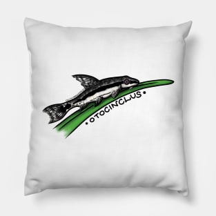 Otocinclus Fishie Pillow