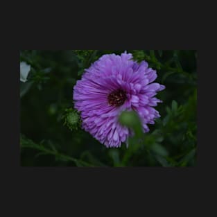 A purple flower in the leaves T-Shirt