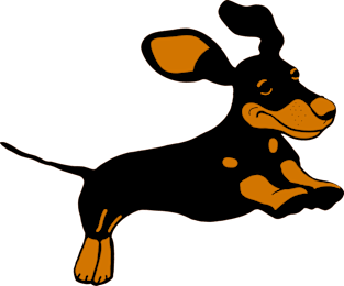 Dachshund running and leaping Magnet