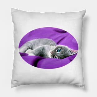 Grey Tabby Kitten Pillow