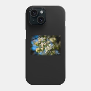 Blossoms of Spring Phone Case