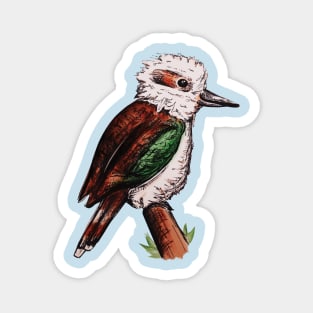 Kookaburra Magnet