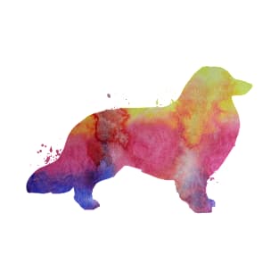 Longhaired dachshund T-Shirt