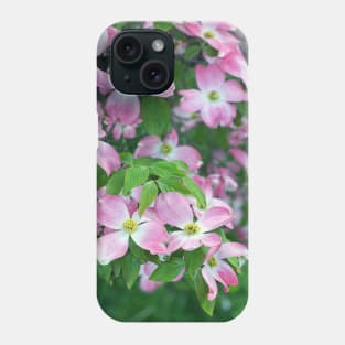 Dogwood Flowers in Spring Phone Case