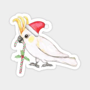 Sulphur crested cockatoo Christmas style Magnet