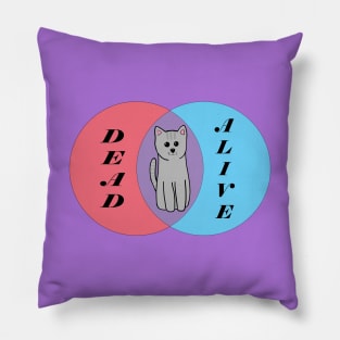 Schrödinger's Cat Pillow