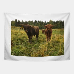 Scottish Highland Cattle Bulls 2079 Tapestry