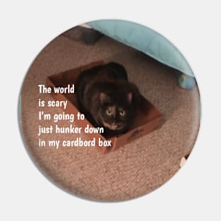 Afraid of the World Pin