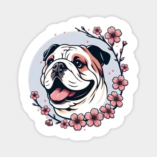 English Bulldog Revels in Spring's Cherry Blossoms Magnet