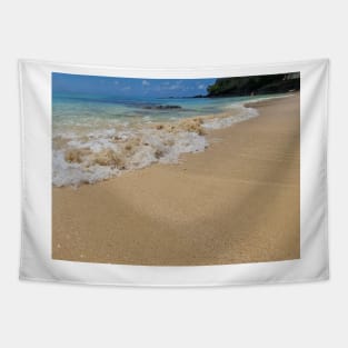 Mauritius beach shoreline Tapestry