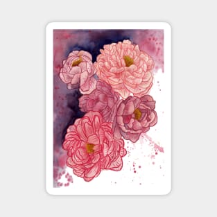 Peonies illustration 2 Magnet