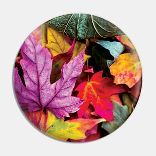 Pretty Autumn Fall Leaves Pin