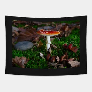 beautiful red toadstool on mossy forest floor Tapestry