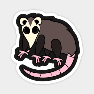 Opossum Magnet