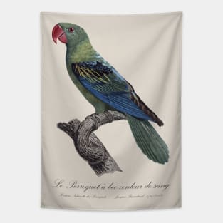 Great-Billed Parrot / Le Perroquet a bec couleur de sang - 19th century Jacques Barraband Illustration Tapestry