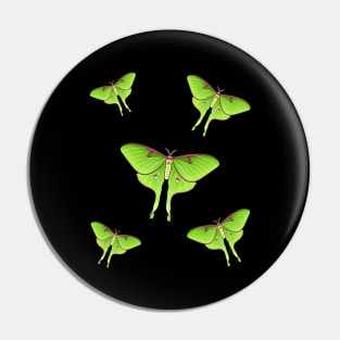 Luna Moth cartoon illustration Pin