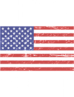 American Flag | Vietnam Veteran Magnet