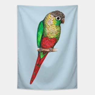 Conure with a heart on its belly Tapestry