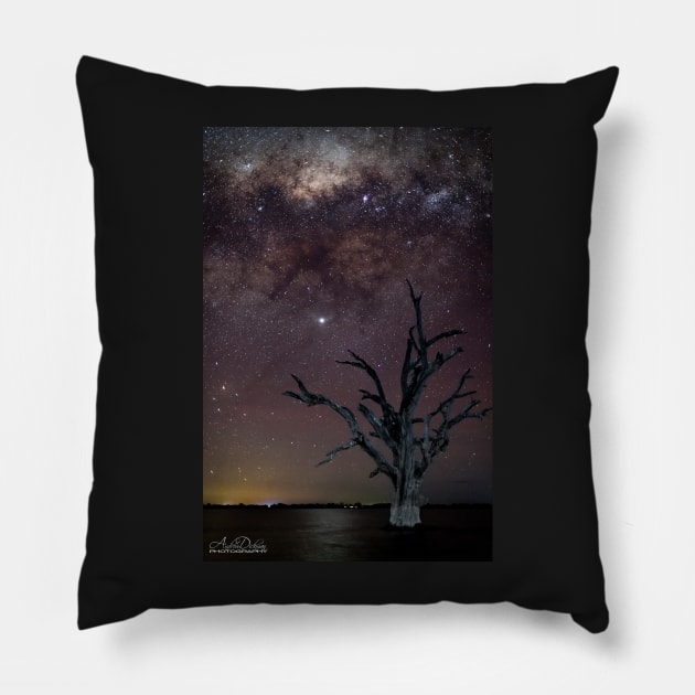 The Final Frontier Pillow by lordveritas