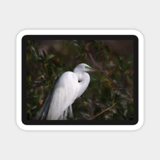 Great Egret Breeding Mask Magnet