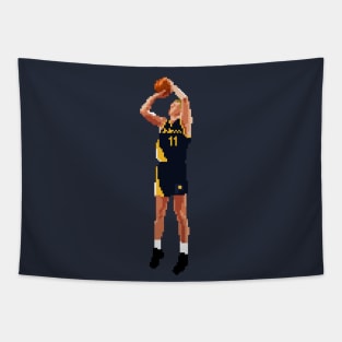 Detlef Schrempf Pixel Shot Tapestry