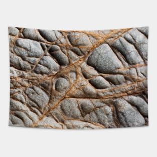 Fragile Orange Volcanic Veins Tapestry