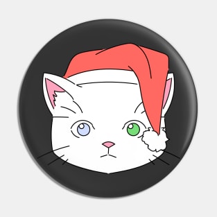 Cute and funny christmas cat Pin