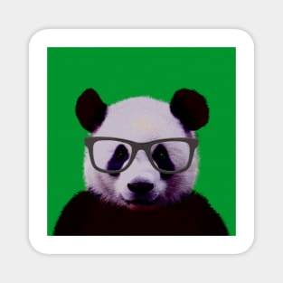 Geeky Nerd Panda in Green Background - Print / Home Decor / Wall Art / Poster / Gift / Birthday / Panda Lover Gift / Animal print Magnet