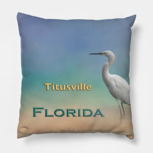 Egret Titusville FL Pillow
