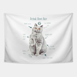 British Short Hair Kitty Illustration Tapestry