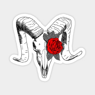 Ram skull with roses Magnet