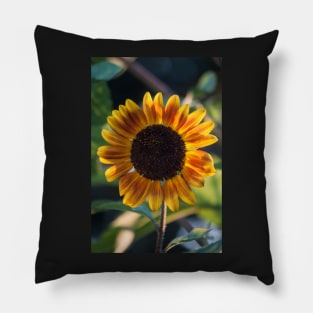 Garden Sunset Pillow