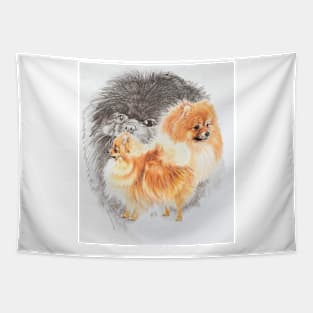 Pomeranian Medley Tapestry