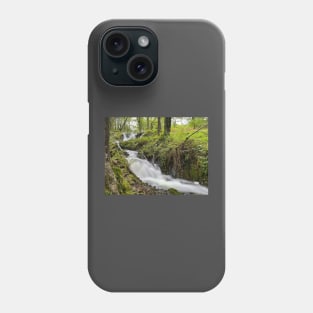 Lake District Beck Phone Case