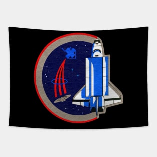 Black Panther Art - NASA Space Badge 117 Tapestry