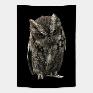 Disapproving Owl Close-up Pic Tapestry