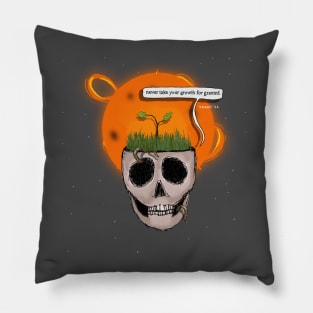 growth for granted Pillow