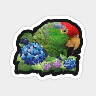 Tamaulipas parrot Magnet