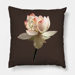 Lotus - Delicate Pink Lotus Pillow