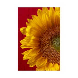 Close Up On Bright Sunflower Against Red Wall T-Shirt