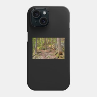 Green Mountain Forest Trail Phone Case